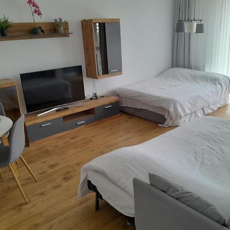 Coresi, 2 Camere, Sleeps 6 Large Private Garden Apartment Pets Welcome Brașov Exterior foto