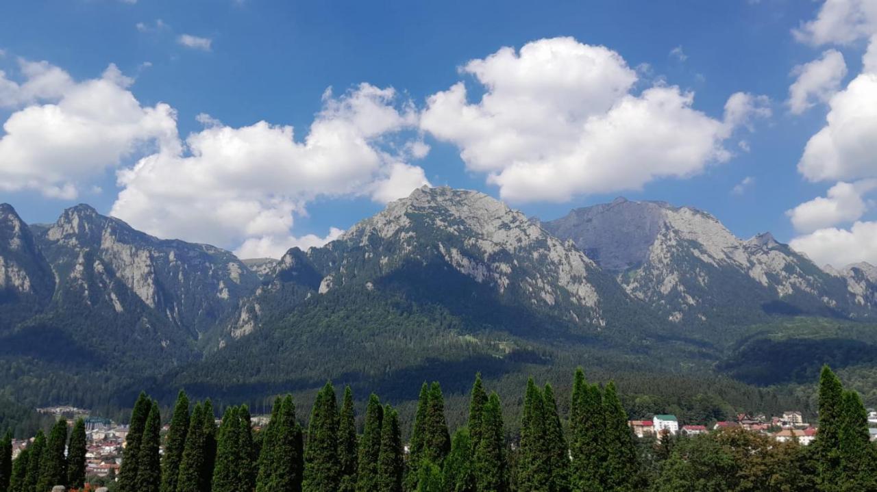 Coresi, 2 Camere, Sleeps 6 Large Private Garden Apartment Pets Welcome Brașov Exterior foto